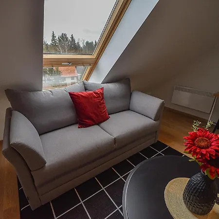 Apart Otel Beli Bor Zlatibor