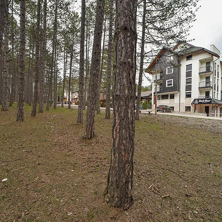 Beli Bor 3* Zlatibor